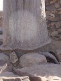 DSC03544