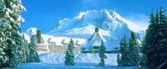 timberline